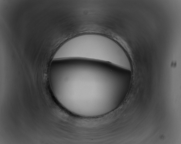 X0000101980017200807180811