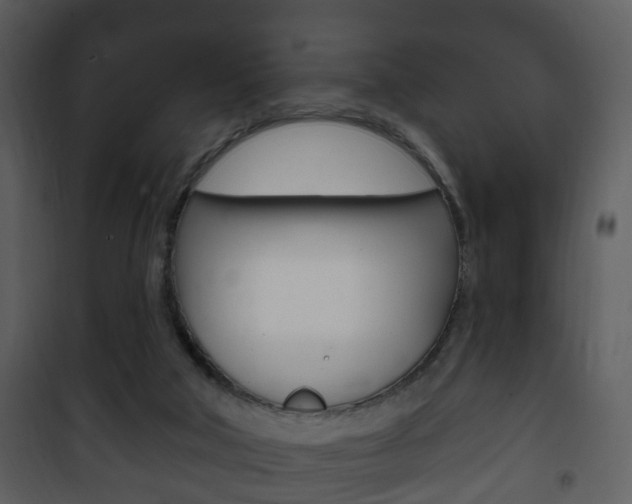 X0000101980018200807180811