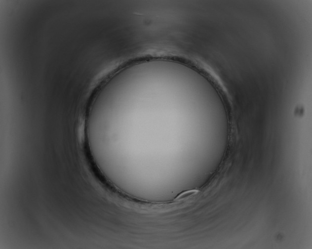 X0000101980019200807180811