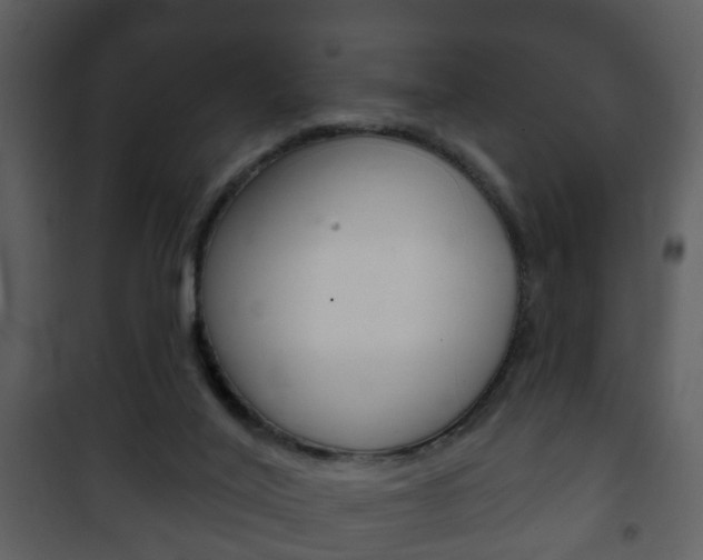 X0000101980020200807180811