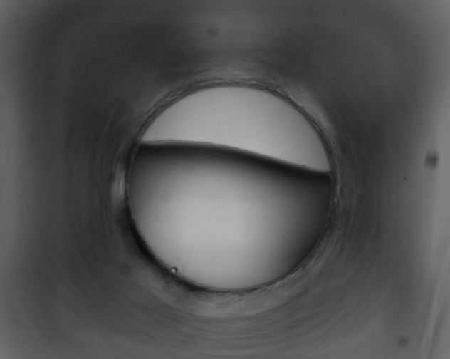 X0000101980021200807180811