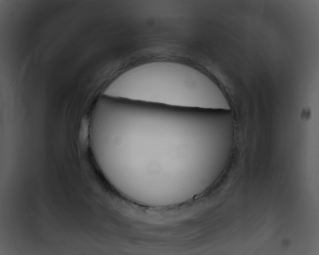 X0000101980022200807180811