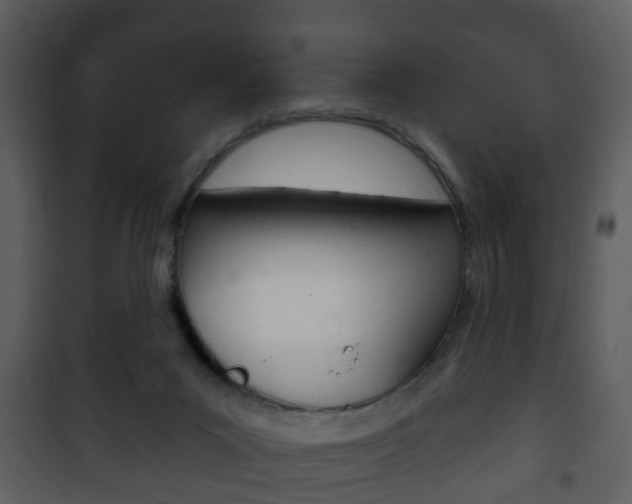 X0000101980023200807180811