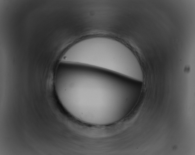 X0000101980024200807180811