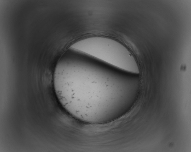 X0000101980025200807180811