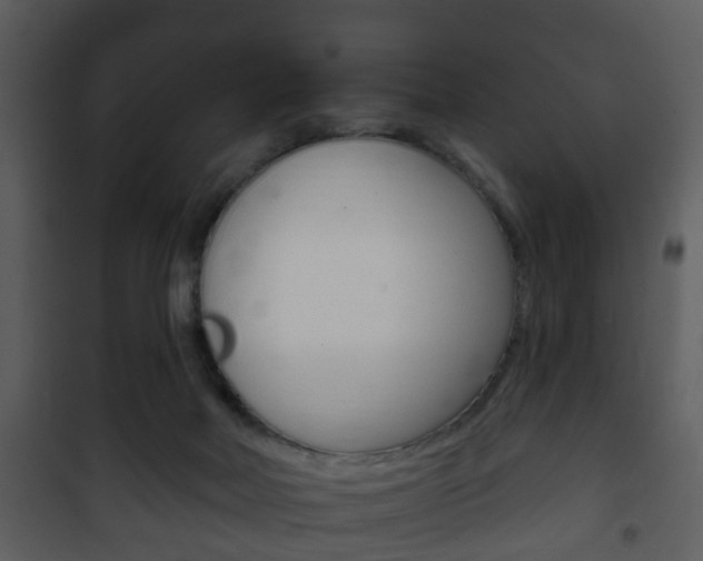 X0000101980026200807180811