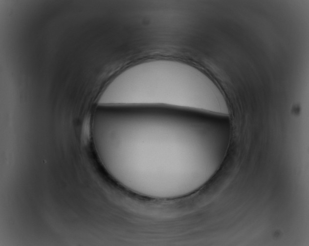 X0000101980028200807180811