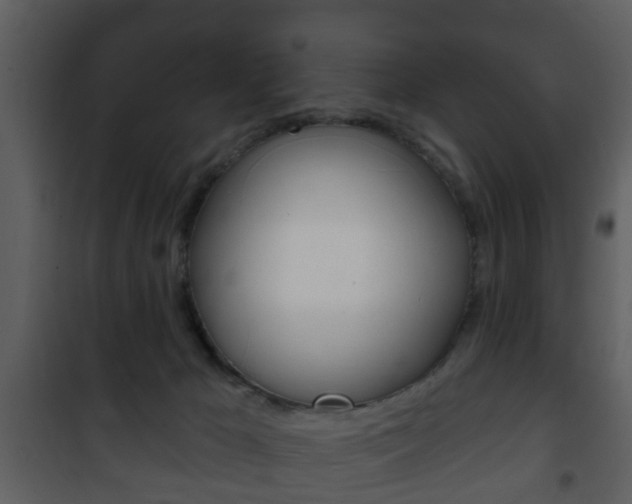 X0000101980029200807180811