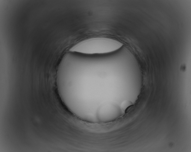 X0000101980030200807180811