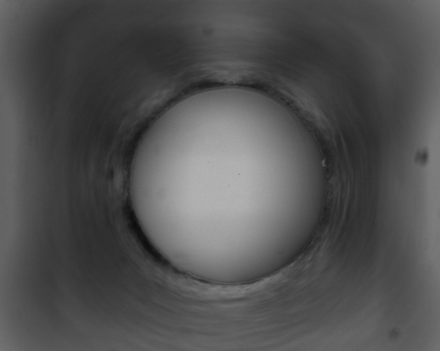 X0000101980031200807180811