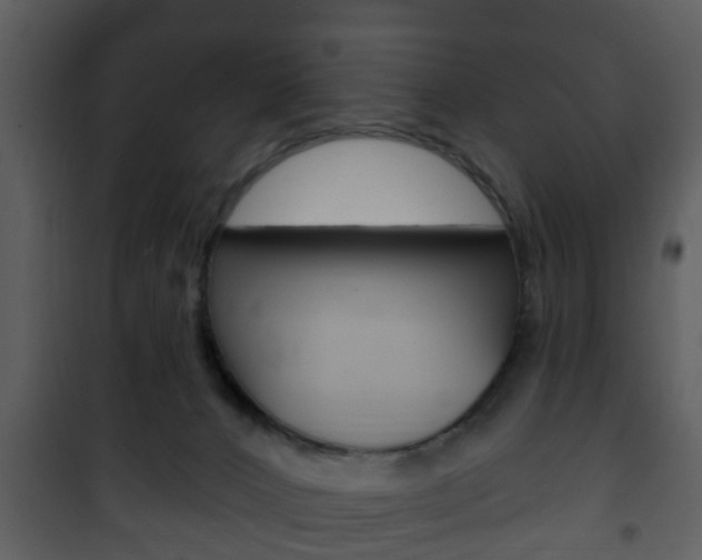 X0000101980032200807180811