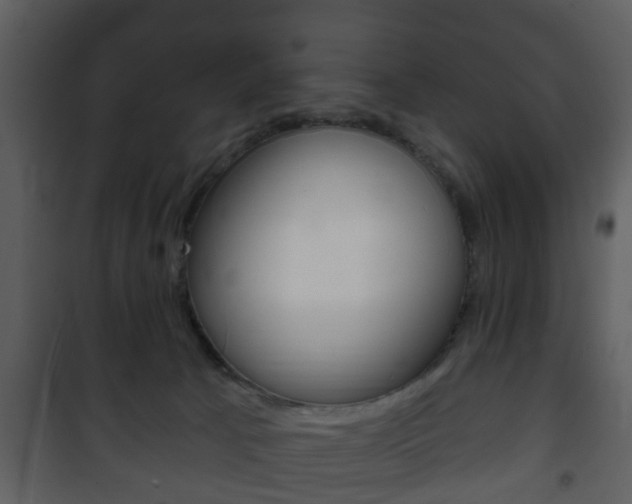 X0000101980033200807180811