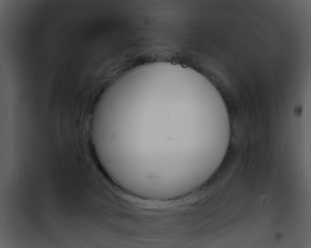 X0000101980034200807180811