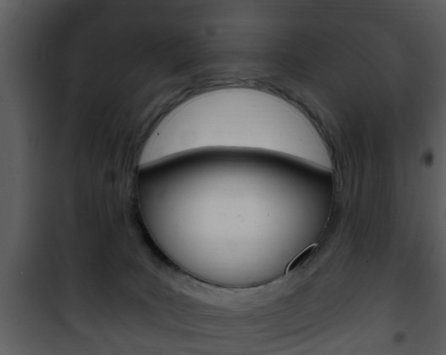 X0000101980035200807180811