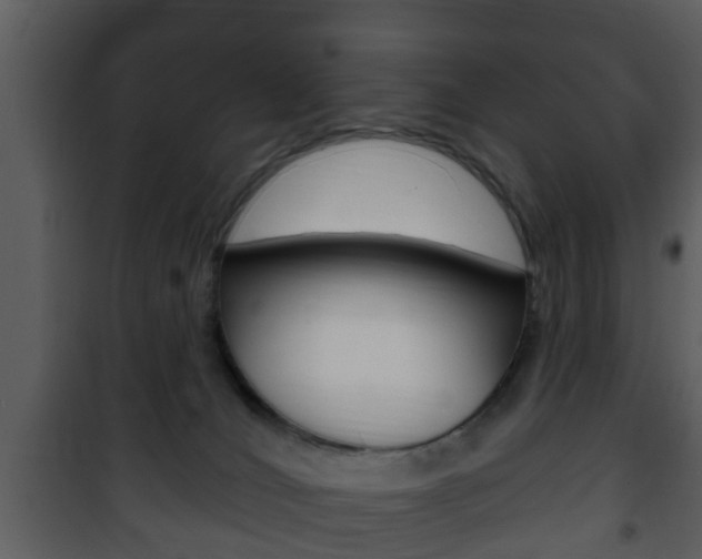 X0000101980036200807180811