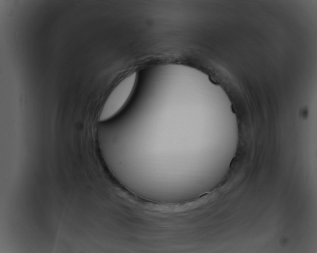 X0000101980037200807180811