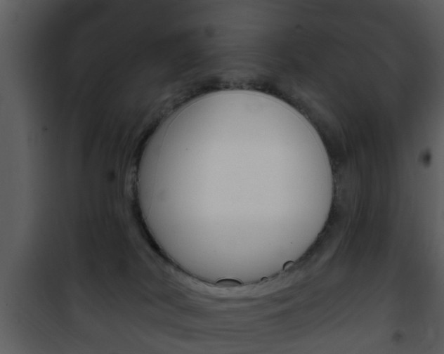 X0000101980038200807180811