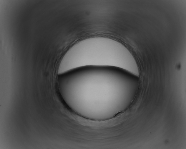 X0000101980039200807180811