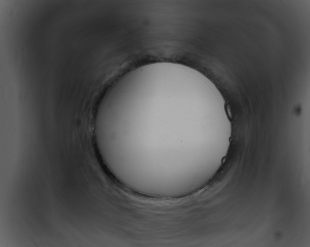 X0000101980040200807180811