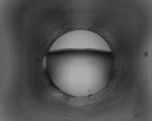 X0000101980041200807180811