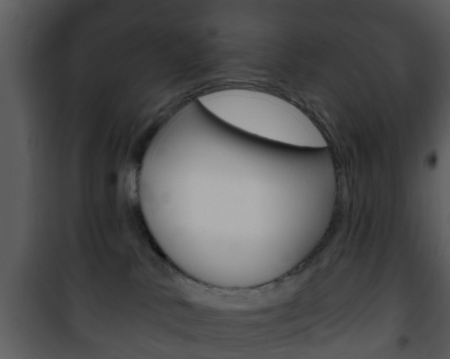 X0000101980042200807180811