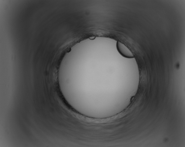 X0000101980043200807180811