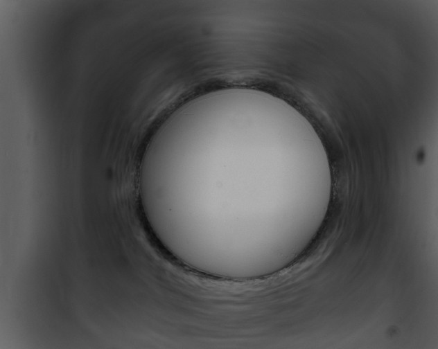 X0000101980044200807180811