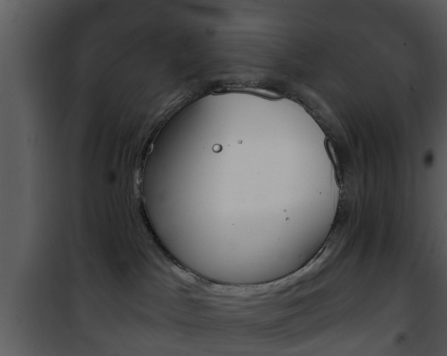 X0000101980045200807180811