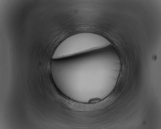 X0000101980048200807180811