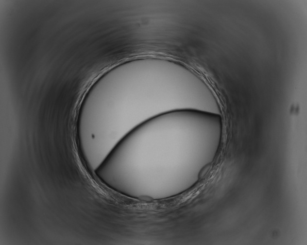 X0000101980049200807180810