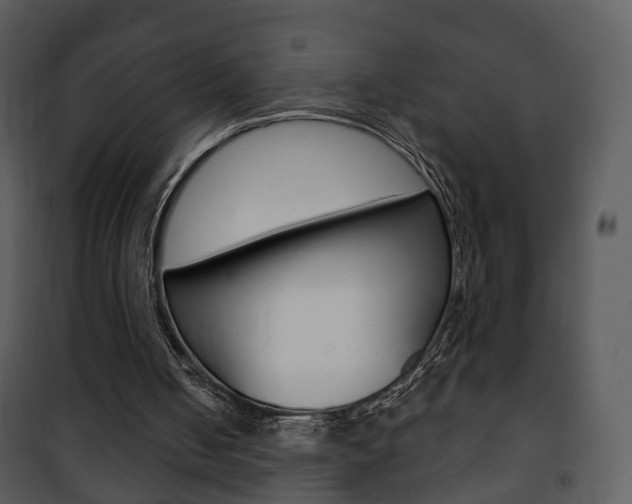 X0000101980050200807180810