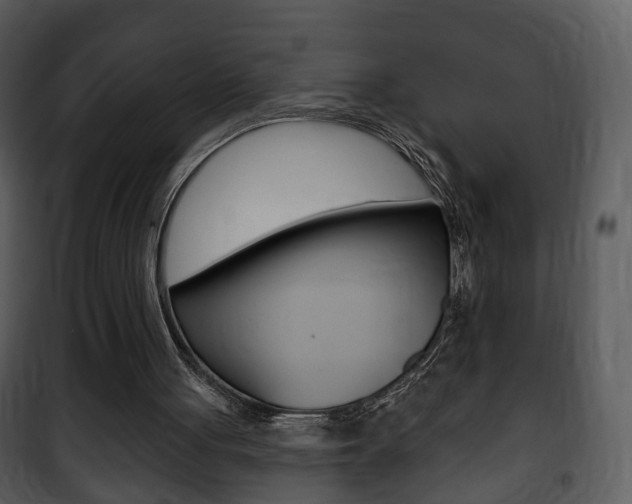 X0000101980051200807180810