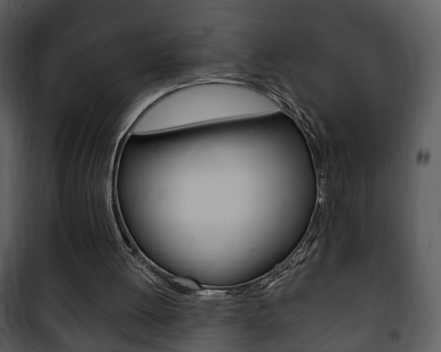 X0000101980052200807180810