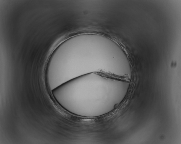 X0000101980053200807180810