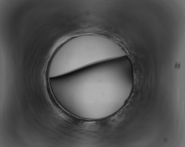 X0000101980054200807180810