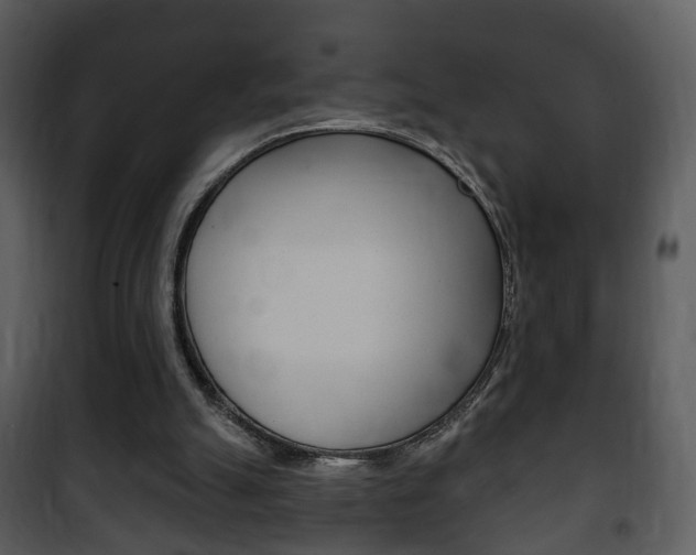 X0000101980055200807180810