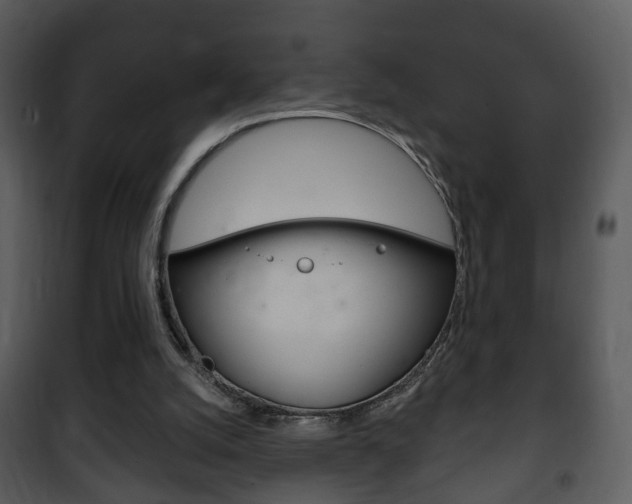 X0000101980056200807180810