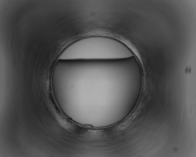 X0000101980057200807180810