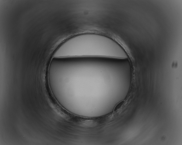 X0000101980058200807180810