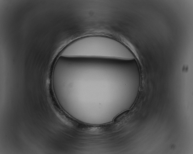 X0000101980059200807180810