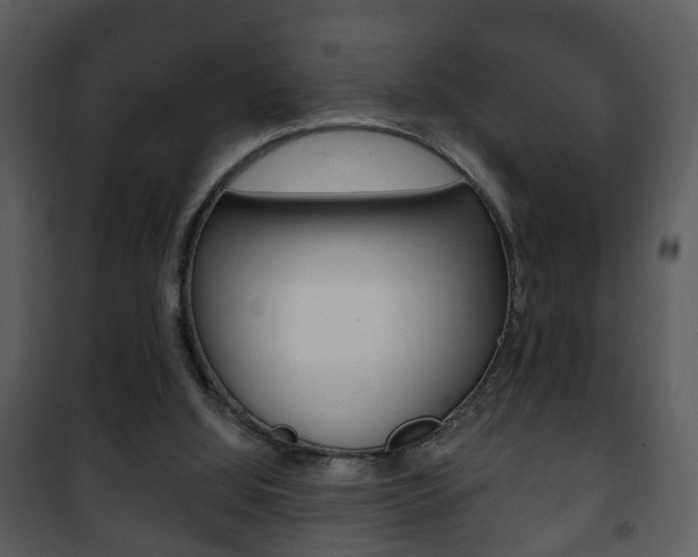 X0000101980060200807180810