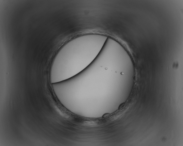 X0000101980061200807180810