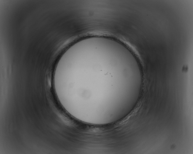 X0000101980062200807180810