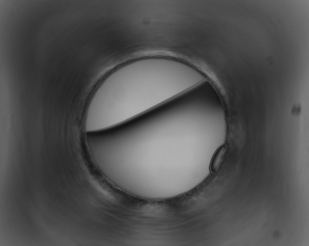 X0000101980063200807180810