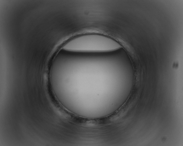 X0000101980064200807180810