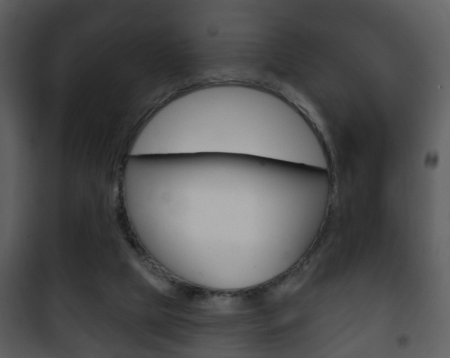 X0000101980065200807180810