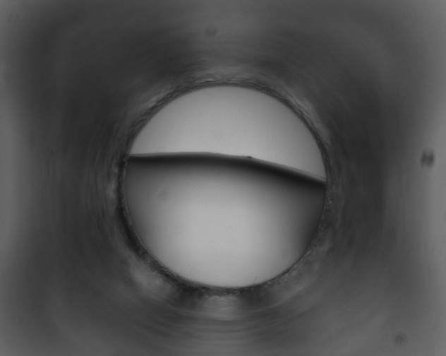 X0000101980066200807180810