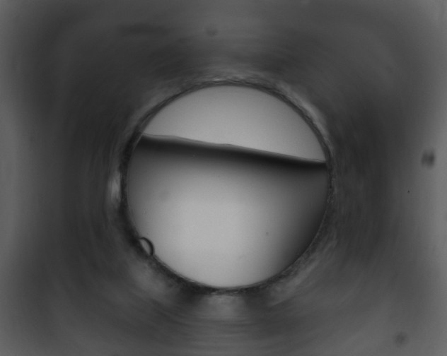 X0000101980067200807180810