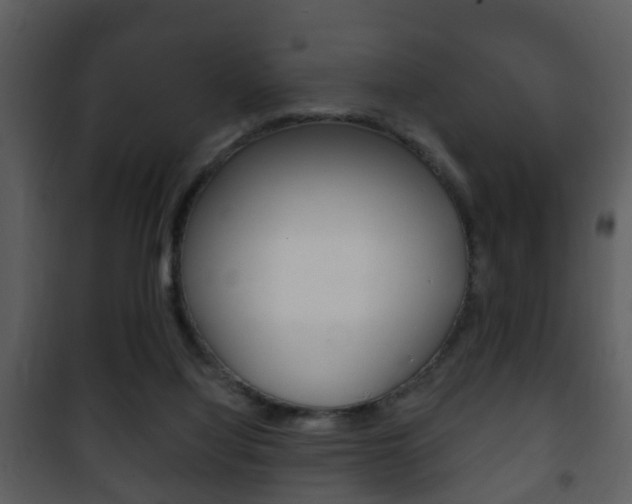 X0000101980068200807180810