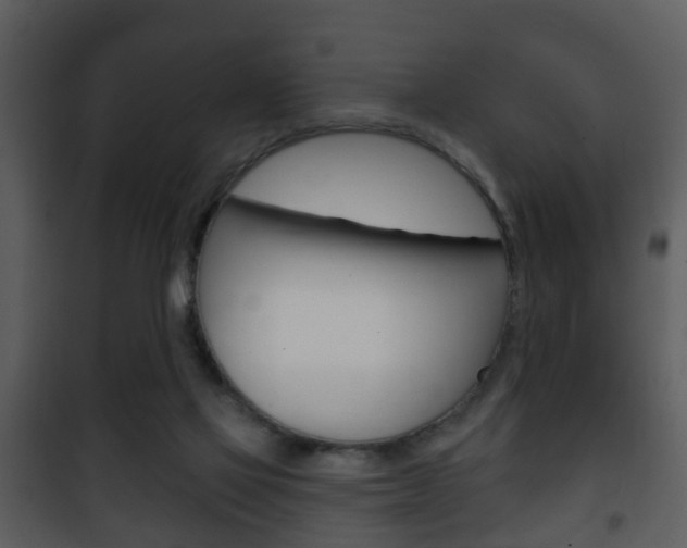 X0000101980069200807180810